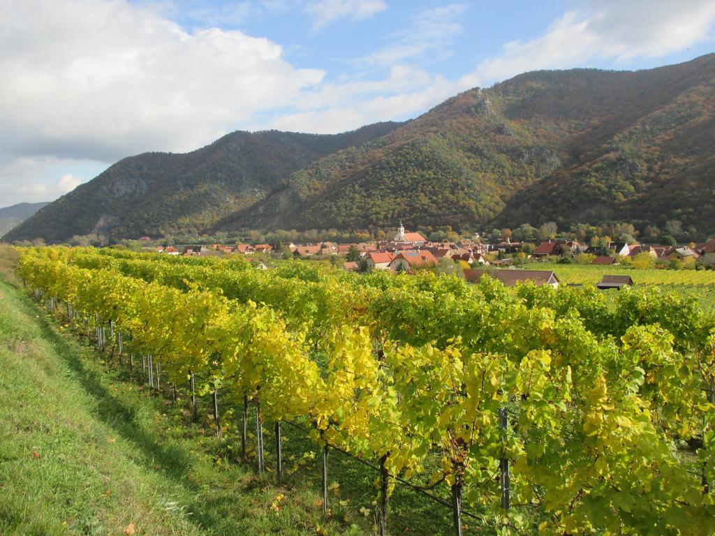 Gaestehaus Rudolf U. Sandra Denk Wosendorf in der Wachau Екстер'єр фото