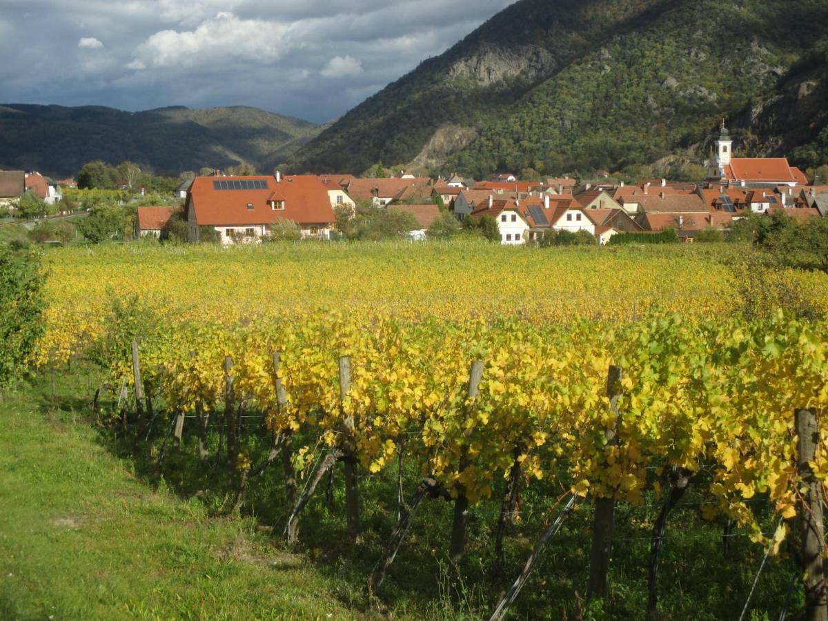 Gaestehaus Rudolf U. Sandra Denk Wosendorf in der Wachau Екстер'єр фото