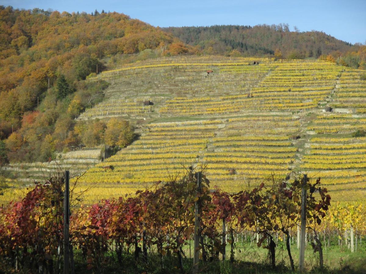 Gaestehaus Rudolf U. Sandra Denk Wosendorf in der Wachau Екстер'єр фото