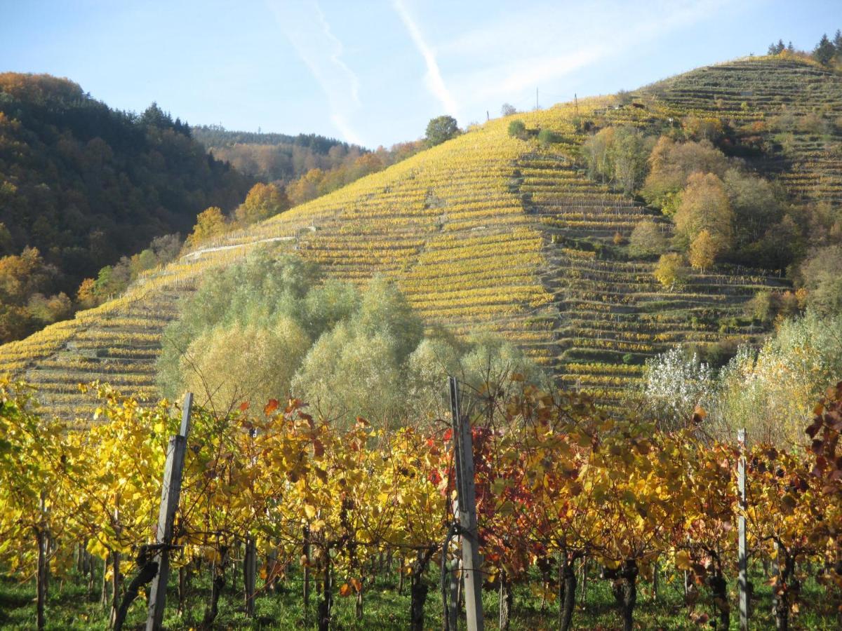 Gaestehaus Rudolf U. Sandra Denk Wosendorf in der Wachau Екстер'єр фото