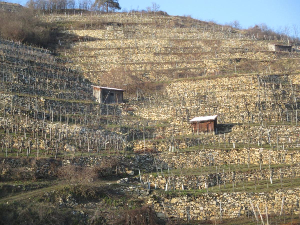 Gaestehaus Rudolf U. Sandra Denk Wosendorf in der Wachau Екстер'єр фото