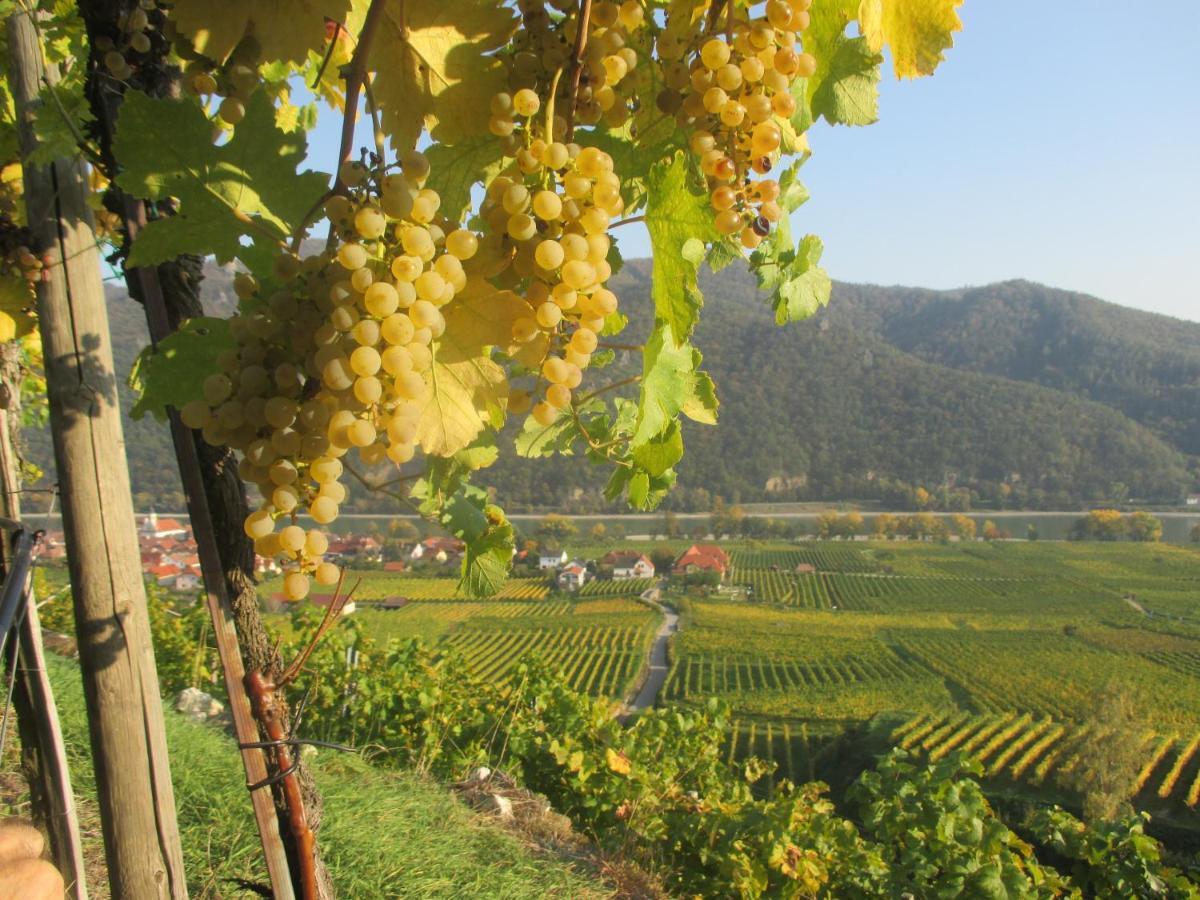 Gaestehaus Rudolf U. Sandra Denk Wosendorf in der Wachau Екстер'єр фото